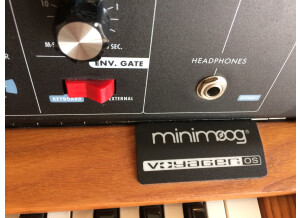 Moog Music Minimoog Voyager (54269)