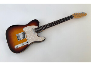 Fender Select Telecaster (61072)