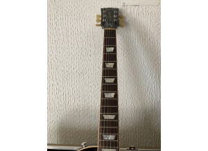 Gibson Les Paul Less Plus (92651)