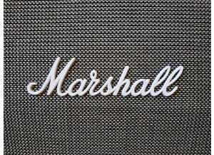 Marshall 1960TV (65093)