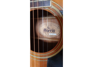 Morris W603 (63761)