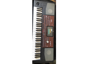 Korg Pa700 (88526)