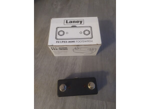 Laney FS2