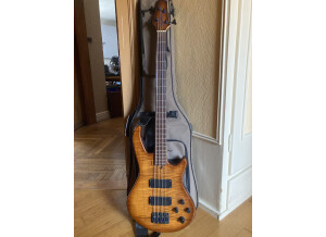 Godin BG-4 Bass