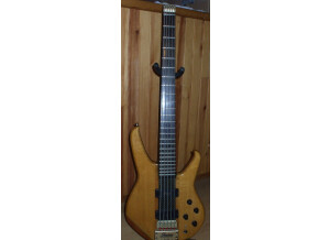 Vigier Arpège 5 cordes