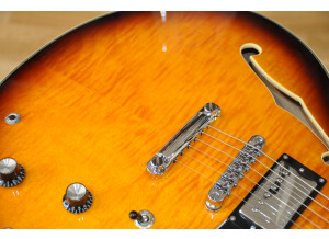 Sire Larry Carlton H7 (28010)