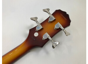 Epiphone Viola (20753)