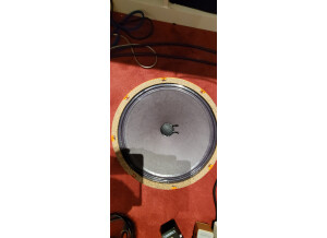 Warehouse Guitar Speakers G12C/S (38579)