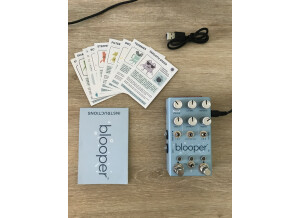 Chase Bliss Audio Blooper (38987)