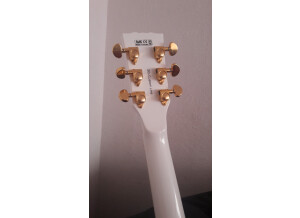 Harley Benton SC-Custom (7492)