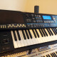 EXR-40 OR EXR-40 OR