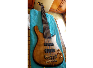 Warwick Streamer Stage 1 (4389)