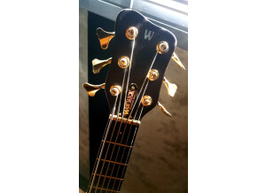 Warwick Streamer Stage 1 (14003)
