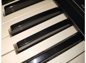 Dave Smith Instruments Prophet 08 Pot Edition (94845)