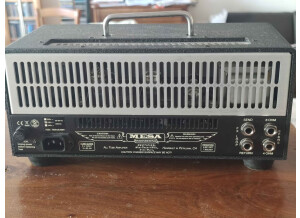 Mesa Boogie Mini Rectifier Twenty Five Head (65488)