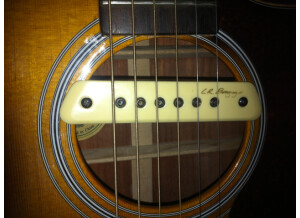 L.R. Baggs M1 (53820)