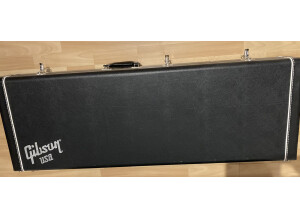 Gibson Firebird V 2010 (47995)