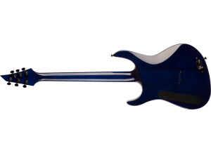 Cnroderick6transblue