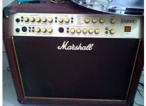 Marshall [Acoustic Soloist Series] AS100D