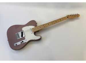 Fender Player Telecaster (6077)