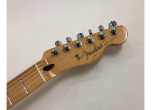 Fender Player Telecaster (48071)