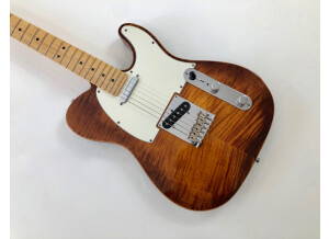 Fender Select Telecaster (51676)