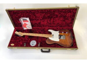 Fender Select Telecaster (19462)