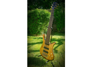 Warwick Streamer Stage 1 (19416)