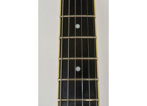 Hagstrom Viking (62230)