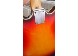Fender Coronado II [1966-1972]