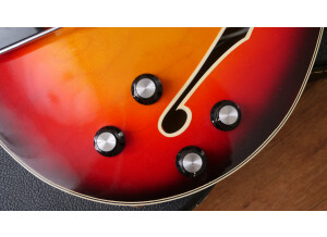 Fender Coronado II [1966-1972] (88377)