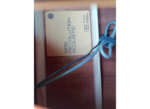 Sire R3 DS (41146)