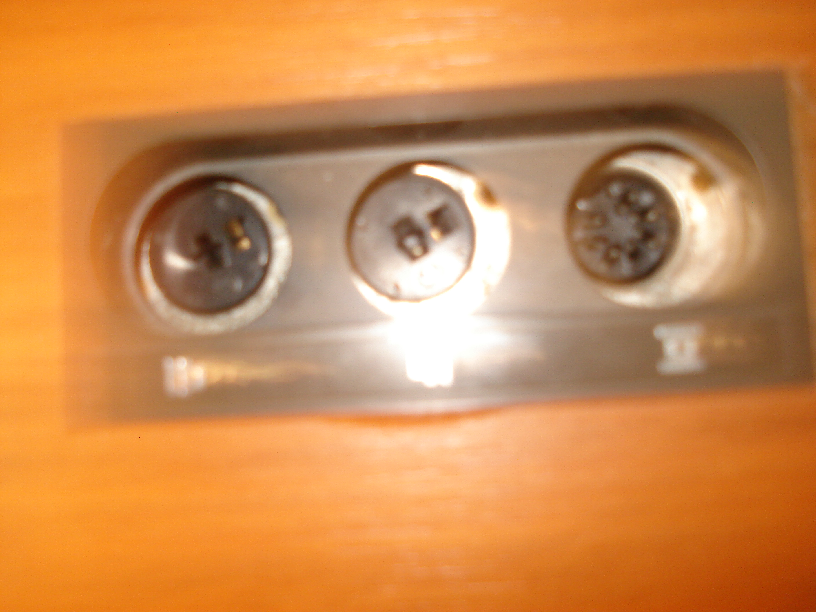MAAGNETOPHESABA (8).JPG