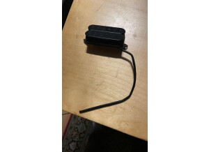 239699798_961712088007551_6179339975606176407_n