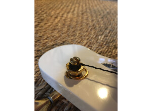 Burns Guitars Bison Bass (5348)