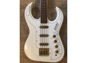 Burns Guitars Bison Bass (93289)