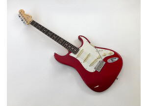 Fender American Professional Stratocaster (32511)