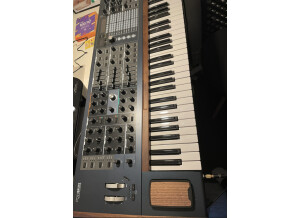 Arturia PolyBrute (62340)