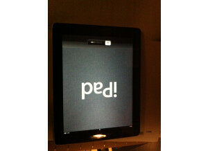 Apple iPad 2 (40090)