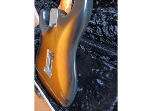 Fender Eric Johnson Stratocaster Maple (26989)