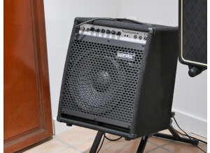 Warwick BC 80 (94264)
