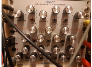 Rossum Electro-Music Trident (64836)