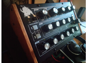 Moog Music Minitaur (44636)