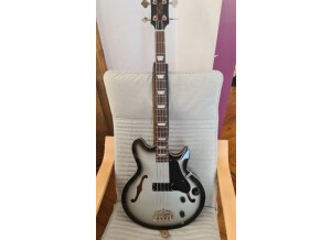 Epiphone Jack Casady Signature Bass (39403)