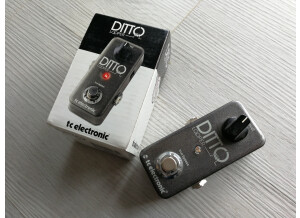 TC Electronic Ditto Looper (63811)