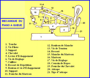 Pianos numériques : double échappement Pianos numériques : double échappement