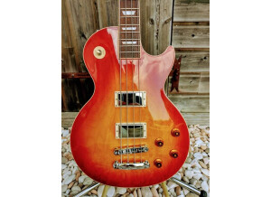 Gibson Les Paul Standard Bass Oversized (54469)