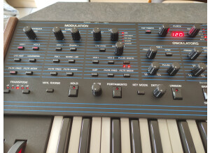 Dave Smith Instruments OB-6 (21617)