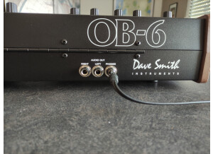 Dave Smith Instruments OB-6 (31014)