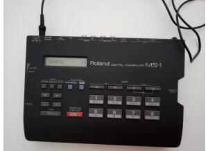 Roland MS-1 (23086)